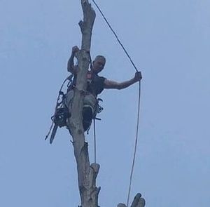 Meet your Posher, Timothy